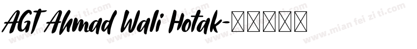 AGT Ahmad Wali Hotak字体转换